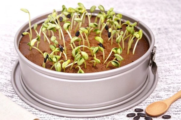 Grass-Topped Marble Cake