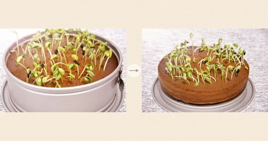 Grass-Topped Marble Cake step 4