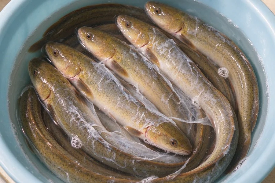 Soft-Shelled Eel Stir-Fry step 2